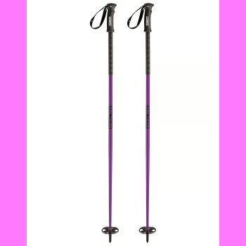 Faction Poles Purple