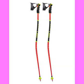 Worldcup Lite GS 3D