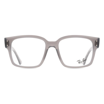 Ray-Ban RX7256 Laurene 8431