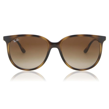 Ray-Ban RB4378 710/13