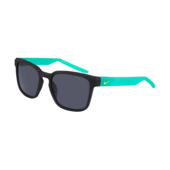 Nike LIVEFREE ICONIC EV24012 011
