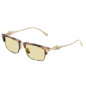 Tiffany & Co. Tiffany & Co. TF4262K 845485
